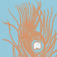 Orange Feather